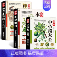 [正版]全3册 彩图全图全解中草药大全+本草纲目+神农本草经中医入门中草药材识别图鉴大全书籍药材植物彩图中药大全书中药医