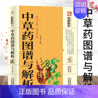 [正版]35元任选5本 中草药图谱与解析 图文并茂 简单易懂 实用性强 李春深 编著 中药学 常见病中草药图谱 书籍