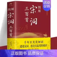 [正版]图解宋词三百首 原文注释赏析中国古诗词宋词鉴赏词典无障碍阅读中小学生青少年版国学经典唐诗宋词元曲文学书籍 宋代诗