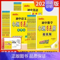 [提优版-全套5本]语数英物化 (人教+苏科+译林+苏科+沪教❤️江苏适用) 九年级下 [正版]江苏版2024版初中小题