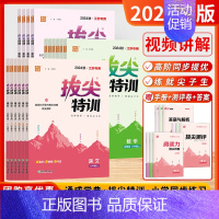 语文+数学+英语[3本-江苏版] 五年级上 [正版]江苏版2024秋拔尖特训一二三四五六年级上册下册语文数学英语人教版苏