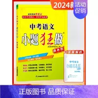 [2025版]中考语文 初中通用 [正版]2024新版恩波教育中考小题狂做提优版语文数学英语物理化学单项填空与完形填空首