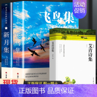 [共3册]飞鸟集+新月集+艾青诗选 [正版]飞鸟集泰戈尔诗选双语全2册 飞鸟集+新月集英汉对照双语版 生如夏花泰戈尔诗选