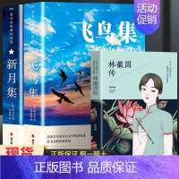 [共3册]飞鸟集+新月集+林徽因经典文集 [正版]飞鸟集泰戈尔诗选双语全2册 飞鸟集+新月集英汉对照双语版 生如夏花泰戈