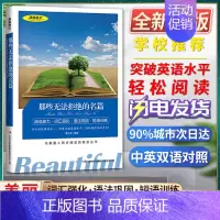 [正版]美丽英文那些无法拒绝的名篇阅读能力词汇强化语法巩固短语训练与美国人同步阅读的英语丛书快速突破英语水平轻松阅读