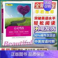 [正版]美丽英文心灵鸡汤阅读能力词汇强化语法巩固短语训练与美国人同步阅读的英语丛书快速突破英语水平轻松阅读双语美文