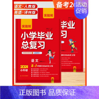 [2024小升初]语文+英语 (2本-江苏适用) 小学升初中 [正版]2024新版实验班小升初江苏省小学毕业升学考试卷小