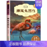 神风火烈鸟精读版 [正版]沈石溪动物小说品藏书系列全集36册狼王梦斑羚飞渡后一头战象雪豹悲歌混血豺王第七条猎狗十大经典阅