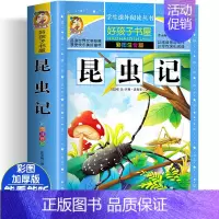 [大开本加厚彩图注音]昆虫记 [正版]动物百科全书注音版 昆虫鱼类少儿百科全书大百科全套小学生二年级三年级读的课外书儿童