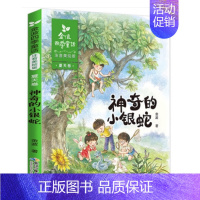 神奇的小银蛇 [正版]金波四季美文全套4册注音版树和喜鹊雨点儿阳光沙滩上的童话小学生阅读二年级课外书新书儿童小学一年级下