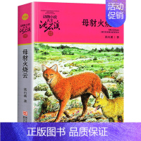 母豺火烧云 [正版]沈石溪动物小说大王品藏书系全集十大经典狼王梦后一头战象狼国女王斑羚飞渡红飘带狮王第七条猎狗白象家族精