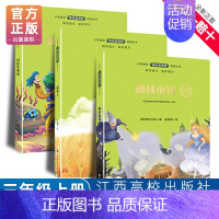 [3册](快乐读书吧)三年级上册 小学三年级 [正版]赣州专版快乐读书吧三年级上册江西高校出版社安徒生童话稻草人格林童话