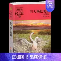 白天鹅红珊瑚 [正版]鸟奴沈石溪小学四年级五年级全集全套书浙江少年儿童出版社非注音版完整版动物小说大王品藏书系小学生课外