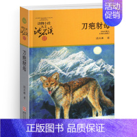 刀疤豺母 [正版]野犬女皇沈石溪小学四年级五年级全集全套书浙江少年儿童出版社非注音版完整版动物小说大王品藏书系小学生课外