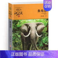象母怨 [正版]刀疤豺母沈石溪小学四年级五年级全集全套书浙江少年儿童出版社非注音版完整版动物小说大王品藏书系小学生课外阅
