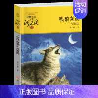 残狼灰满 [正版]野犬女皇沈石溪小学四年级五年级全集全套书浙江少年儿童出版社非注音版完整版动物小说大王品藏书系小学生课外