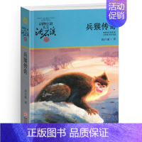 兵猴传奇 [正版]野马归野沈石溪小学四年级五年级全集全套书浙江少年儿童出版社版完整版动物小说大王品藏书系小学生课外阅读适