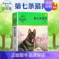 第七条猎狗 [正版]象母怨沈石溪小学四年级五年级全集全套书浙江少年儿童出版社非注音版完整版动物小说大王品藏书系小学生课外