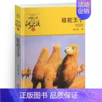 骆驼王子 [正版]象母怨沈石溪小学四年级五年级全集全套书浙江少年儿童出版社非注音版完整版动物小说大王品藏书系小学生课外阅