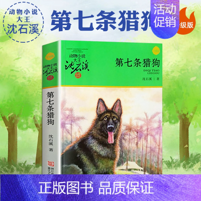 第七条猎狗 [正版]黑熊舞蹈家沈石溪小学四年级五年级全集全套书浙江少年儿童出版社版完整版动物小说大王品藏书系生课外阅读适
