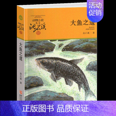 大鱼之道 [正版]黑熊舞蹈家沈石溪小学四年级五年级全集全套书浙江少年儿童出版社版完整版动物小说大王品藏书系生课外阅读适用