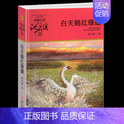 白天鹅红珊瑚 [正版]黑熊舞蹈家沈石溪小学四年级五年级全集全套书浙江少年儿童出版社版完整版动物小说大王品藏书系生课外阅读