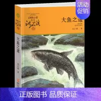 大鱼之道 [正版]鹭鸶谷传奇沈石溪小学四年级五年级全集全套书浙江少年儿童出版社非注音版完整版动物小说大王品藏书系生课外阅