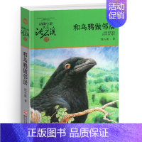 和乌鸦做邻居 [正版]黑熊舞蹈家沈石溪小学四年级五年级全集全套书浙江少年儿童出版社版完整版动物小说大王品藏书系生课外阅读