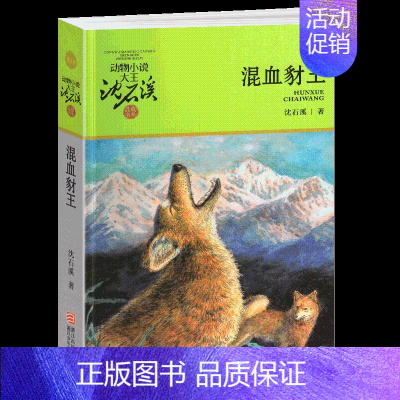 混血豺王 [正版]黑熊舞蹈家沈石溪小学四年级五年级全集全套书浙江少年儿童出版社版完整版动物小说大王品藏书系生课外阅读适用