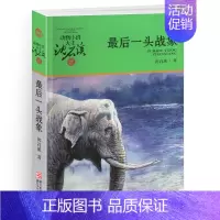 最后一头战象 [正版]混血豺王沈石溪小学四年级五年级全集全套书浙江少年儿童出版社非注音版完整版动物小说大王品藏书系小学生