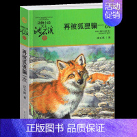 再被狐狸骗一次 [正版]白象家族沈石溪小学四年级五年级全集全套书浙江少年儿童出版社非注音版完整版动物小说大王品藏书系小学