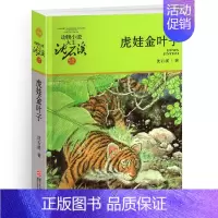 虎娃金叶子 [正版]白象家族沈石溪小学四年级五年级全集全套书浙江少年儿童出版社非注音版完整版动物小说大王品藏书系小学生课