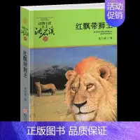 红飘带狮王 [正版]雄狮去流浪沈石溪小学四年级五年级全集全套书浙江少年儿童出版社非注音版完整版动物小说大王品藏书系生课外