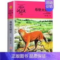 母豺火烧云 [正版]白象家族沈石溪小学四年级五年级全集全套书浙江少年儿童出版社非注音版完整版动物小说大王品藏书系小学生课