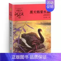 黑天鹅紫水晶 [正版]和乌鸦做邻居沈石溪小学四年级五年级全集全套书浙江少年儿童出版社非注音版完整版动物小说大王品藏书系课