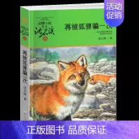 再被狐狸骗一次 [正版]军鸽白雪公主沈石溪小学四年级五年级全集全套书浙江少年儿童出版社非注音版完整版动物小说大王品藏书系