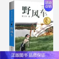 野风车 [正版]曹文轩纯美小说系列全套四五年级儿童文学草房子狗牙雨青铜葵花山羊不吃天堂草野风车细米马戏团红瓦黑瓦根鸟原著