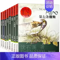 沈石溪画本(全套) [正版]沈石溪画本第一辑全套8册动物小说系列全集第七条猎狗后一头战象白象家族红奶羊非注音版五年级六年