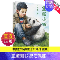 耗子大爷起晚了 [正版]熊猫小四中国好书叶广岑著三四五年级小学生阅读课外书籍儿童文学读物课外书花猫三丫上房了土狗老黑闯祸