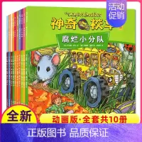 神奇小的校车全套10册(动画版) [正版]神奇的校车桥梁书版全套20册一年级二年级阅读系列儿童绘本小学生图画月球漫步英文