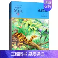 金蟒蛇 [正版]巨蜥母亲沈石溪小学四年级五年级全集全套书浙江少年儿童出版社版完整版动物小说大王品藏书系小学生课外阅读适用
