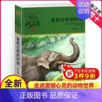 象群迁移的时候 [正版]象群迁移的时候沈石溪小学四年级五年级全集全套书浙江少年儿童出版社非注音版完整版动物小说大王品藏书