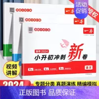 冲刺新卷[数学]含真题32套 小学升初中 [正版]2024新版小升初冲刺新卷语文数学英语小升初真题卷人教版名校真题专题分