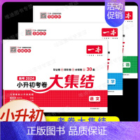 [语数英3本]小升初考卷大集结 小学通用 [正版]2025版小学知识大盘点语文数学英语小升初名校冲刺方案模拟考试真题精选