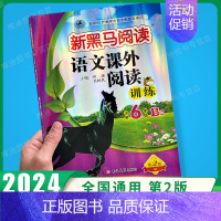 下册》课外阅读训练B版 小学六年级 [正版]2024新黑马阅读英语六年级 小学英语阅读理解专项训练题课外拓展强化同步每日