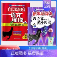 下册》古诗文阅读+阅读同步拓展训练B版[2本] 小学六年级 [正版]2024新黑马阅读英语六年级 小学英语阅读理解专项训