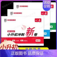 [语数英3本]小升初冲刺新卷 小学通用 [正版]2025版小学知识大盘点语文数学英语小升初名校冲刺方案模拟考试真题精选试