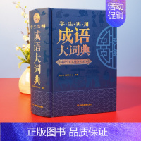 成语大词典 (大开本)(初中-大学适用) [正版]艾青诗选原著 九年级上册必读北京工艺美术出版社完整版初中生9人教版课外