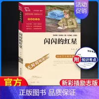 闪闪的红星-彩插励志版.南方出版社 [正版]闪闪的红星 李心田小学生红色经典书籍革命传统教育读本三四五六年级寒暑假书儿