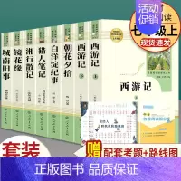 全套8本]七年级上册名著 人教版 [正版]镜花缘猎人笔记湘行散记白洋淀纪事海底两万里和骆驼祥子西游记朝花夕拾原著人民教育